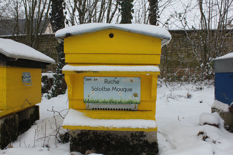 La ruche Sololbe Mouque